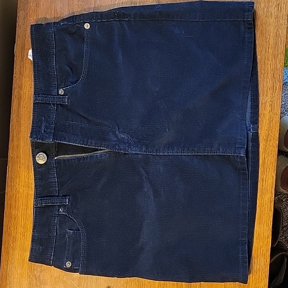 Gap blue corduroy skirt